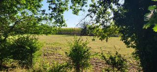  Terrain � vendre 1123 m�