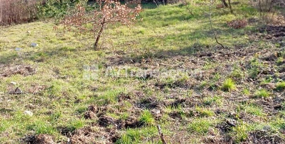Vente Terrain CALLAS : Beau terrain plat de 870m2, viabilisé Callas