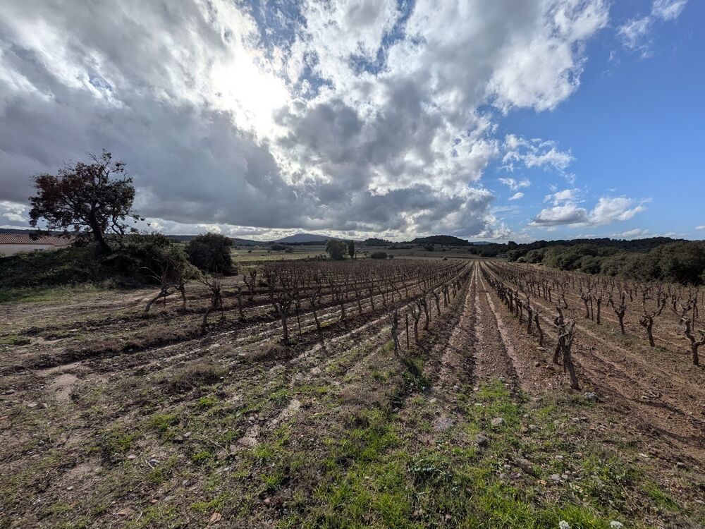 Vente Terrain Terrain à bâtir 2640 m² avec vue panoramique plein sud. Escales