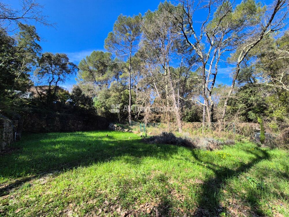 Vente Terrain Terrain constructible Lorgues