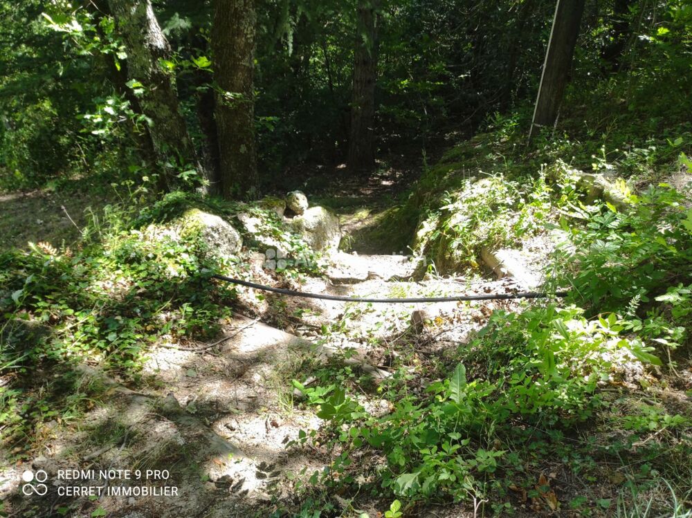 Vente Terrain Terrain non constructible 5257 m² Colognac