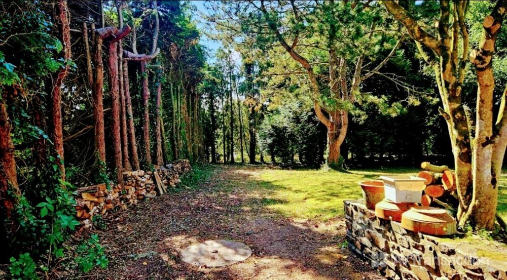 Longère de caractère sur parc arboré de 6000 m²