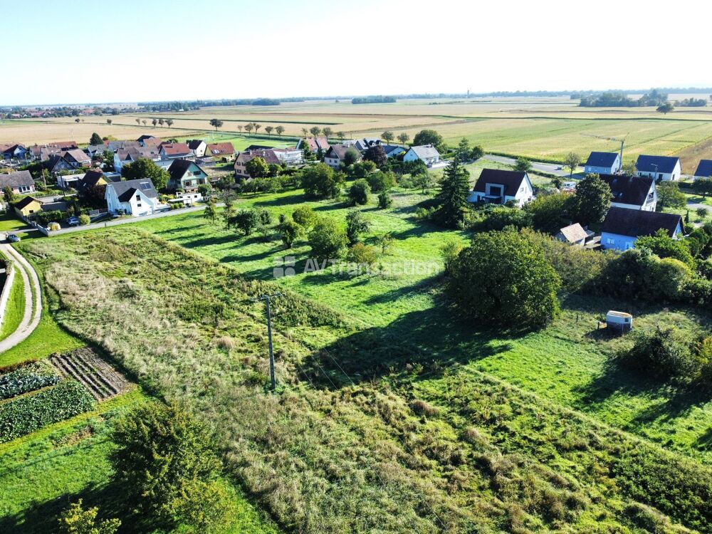 Vente Terrain TERRAIN DE CONSTRUCTION GRUSSENHEIM Grussenheim