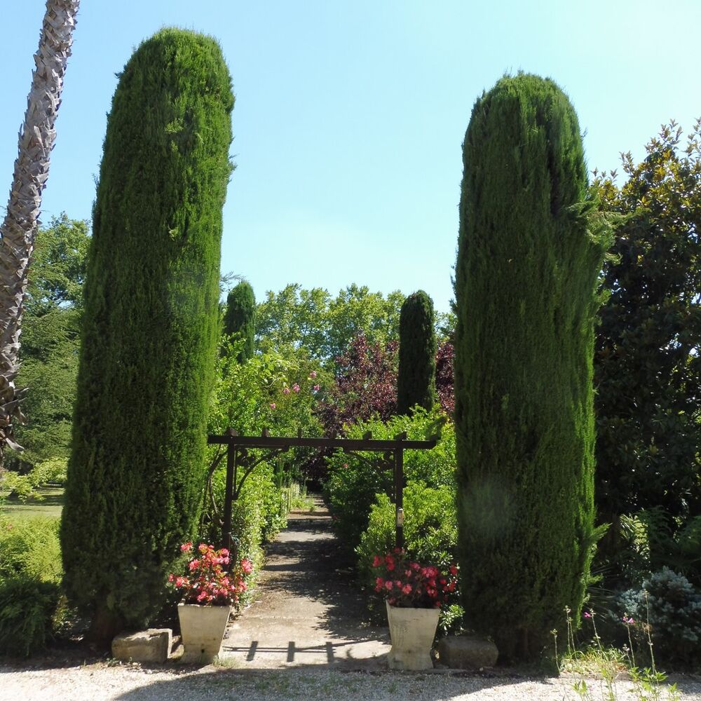 à vendre  Propriété/château Uzès (30700)