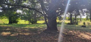  Terrain � vendre 1123 m�