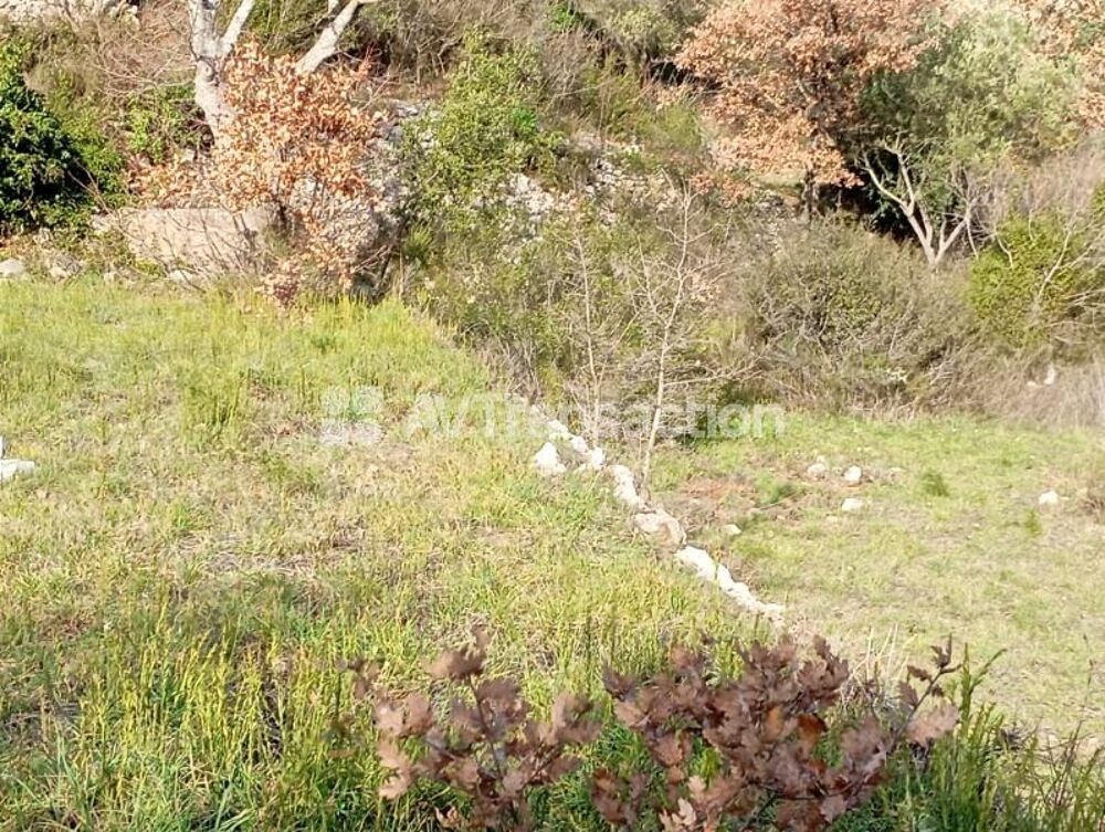 Vente Terrain CALLAS : Beau terrain plat de 1600 m2, en bordure viabilisé Callas