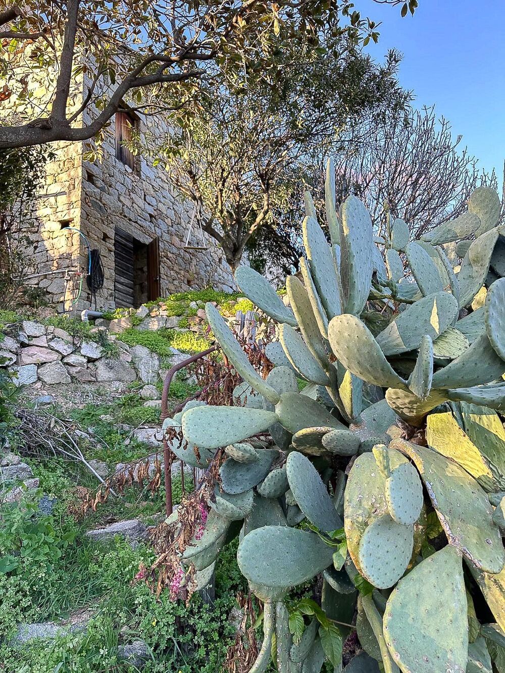 Vente Maison Maison en pierre à rénover - Terrain vue montagne - Sarrola Sarrola-carcopino