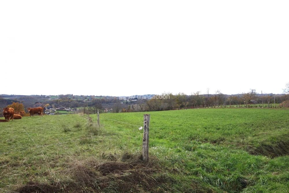 Vente Terrain Dordogne : Terrain Constructible de 1,3 ha Les sarlandes