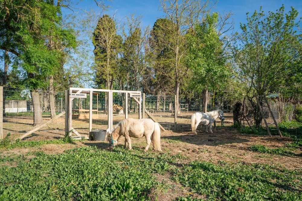 � vendre  Villa Coursan (11110)
