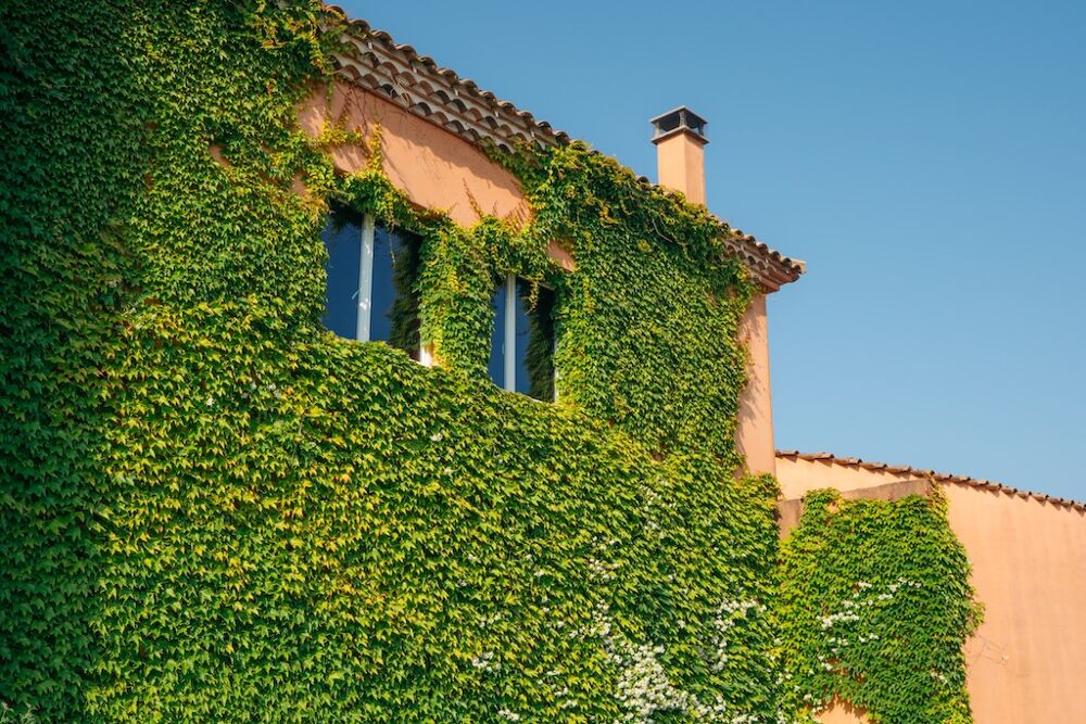 � vendre  Propri�t�/ch�teau Villemoustaussou (11620)