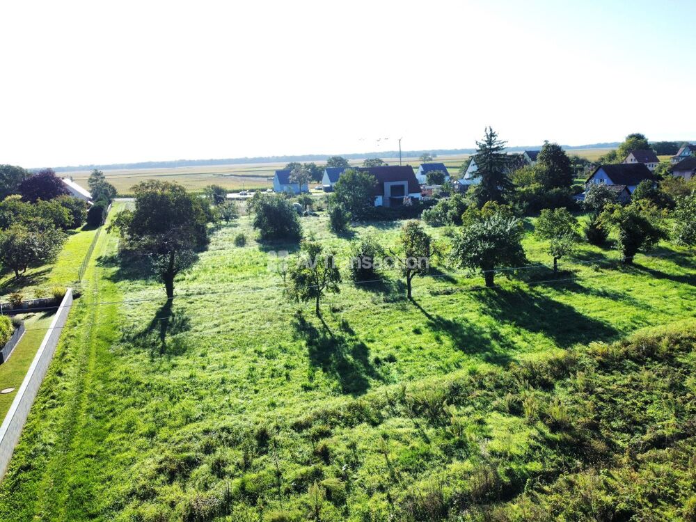 Vente Terrain TERRAIN DE CONSTRUCTION GRUSSENHEIM Grussenheim