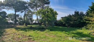  Terrain à vendre 985 m²