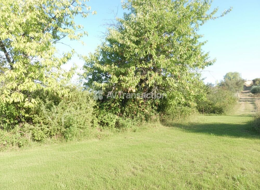 Vente Terrain AUPS : Magnifique terrain truffier de 4827m2 Aups