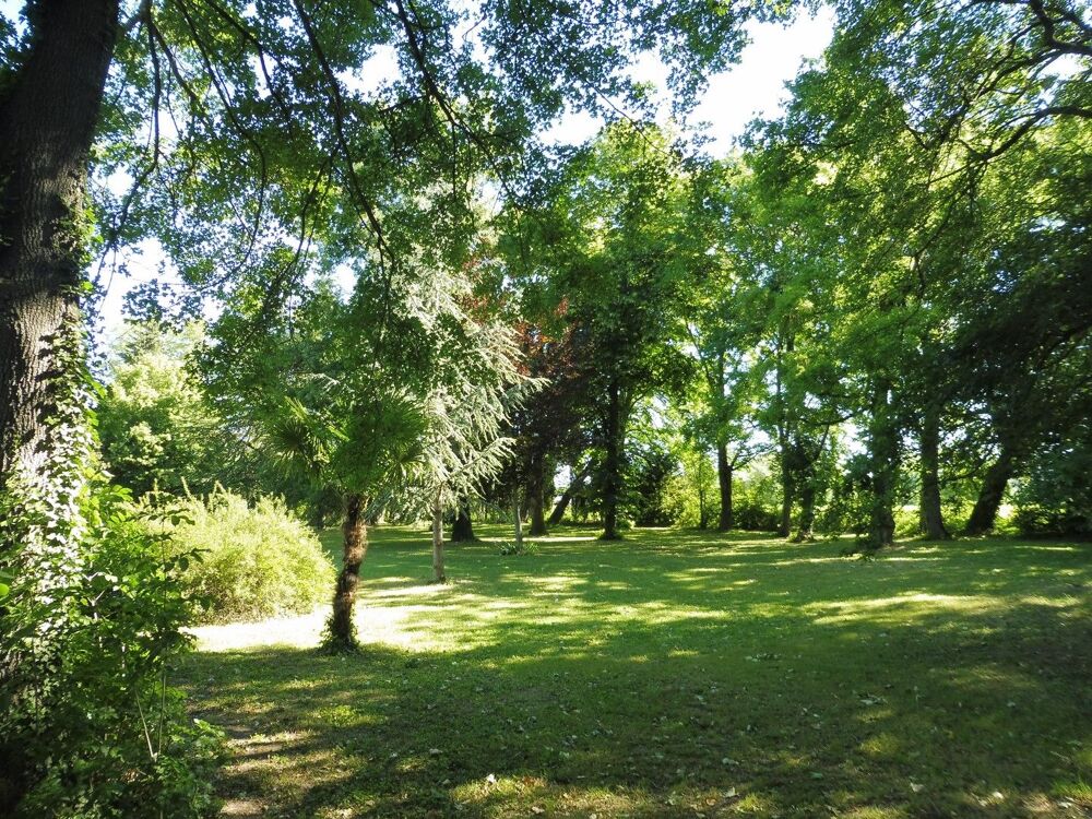 à vendre  Propriété/château Uzès (30700)