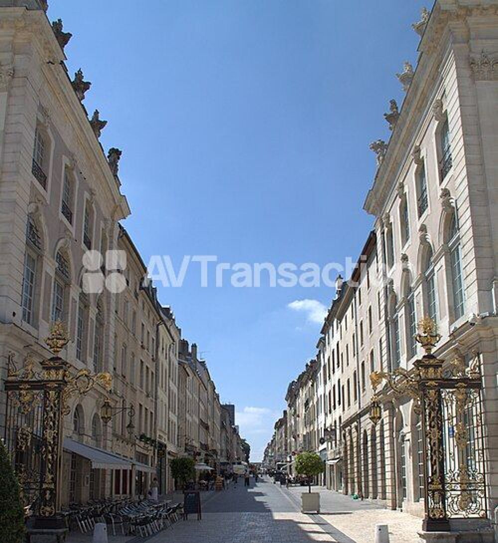 Vente Immeuble Bel immeuble de rapport  rue Stanislas NANCY Nancy