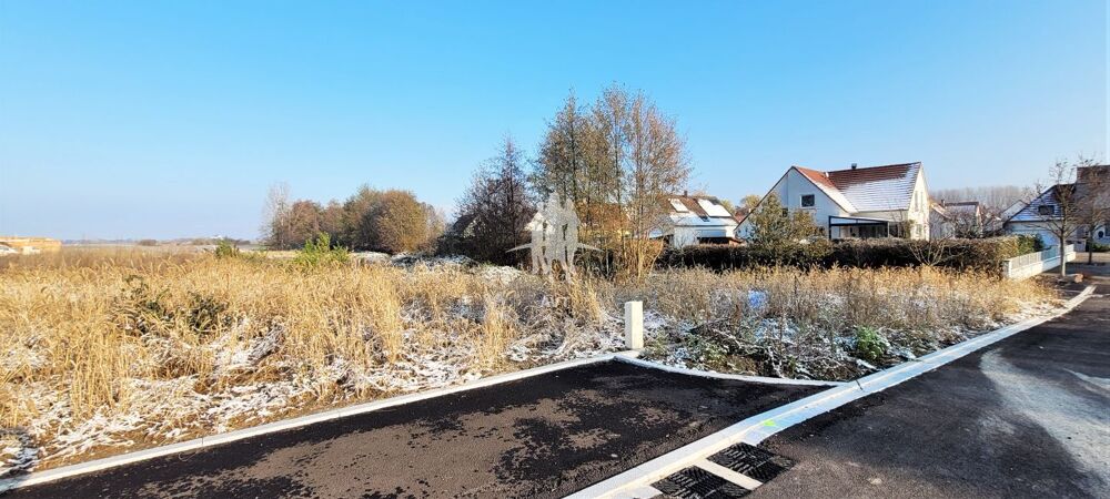Vente Terrain Terrains viabilisés a NORDHOUSE Nordhouse