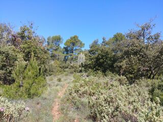  Terrain � vendre 31060 m�