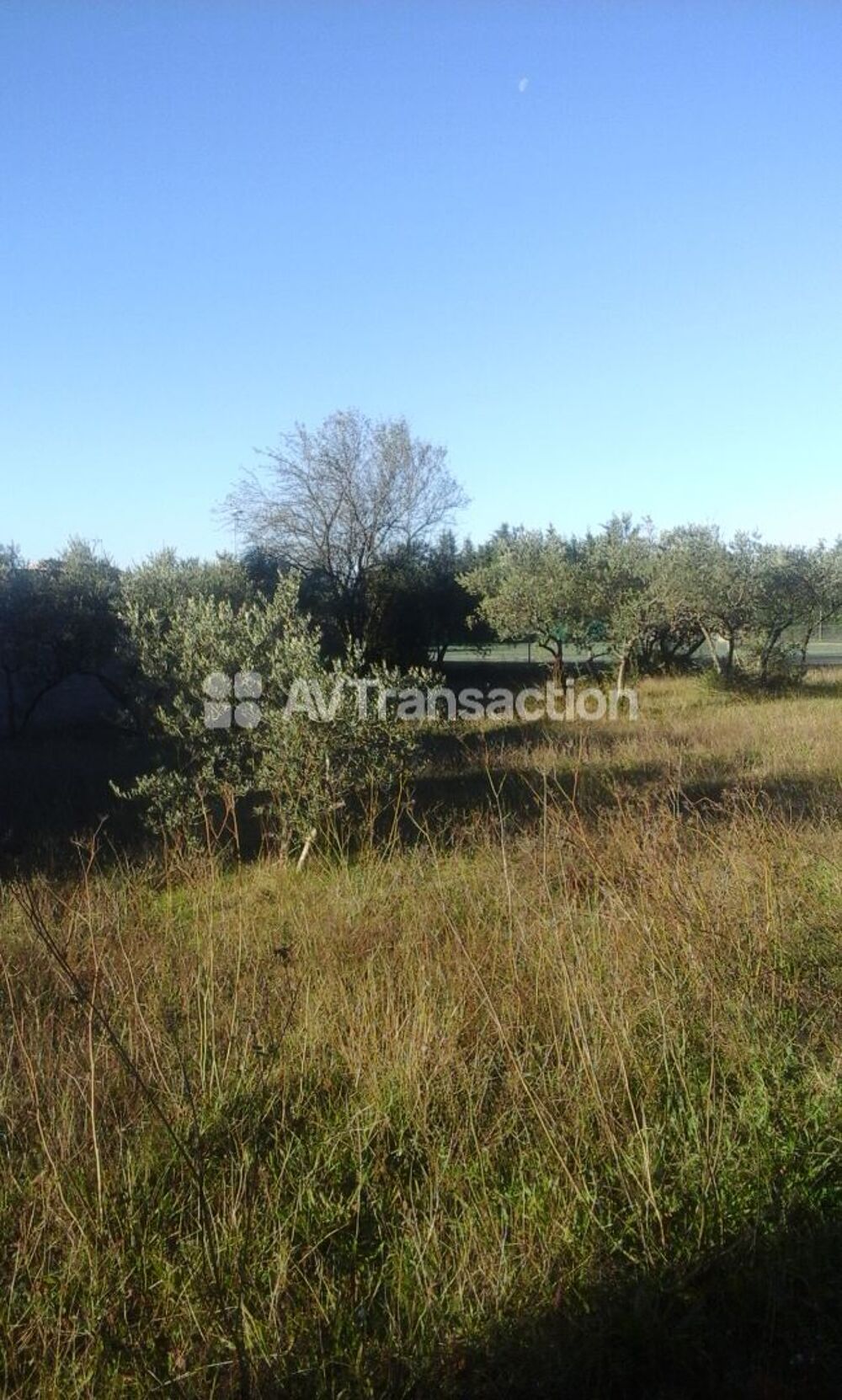 Vente Terrain beau terrain constructible 600 m2 Mérindol