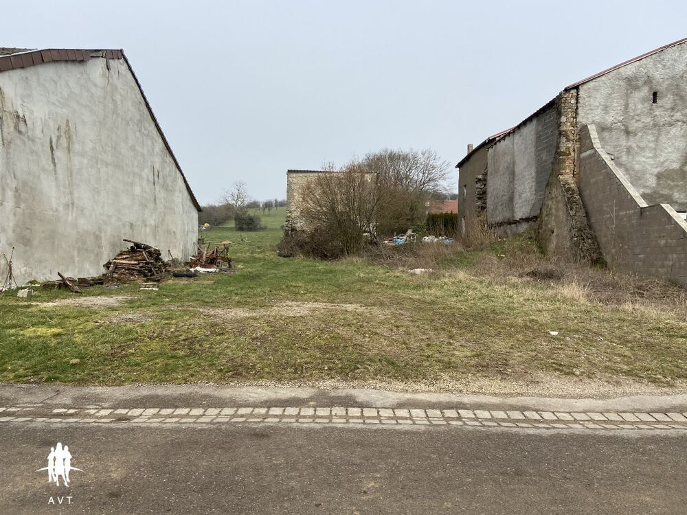 Vente Terrain TERRAIN CONSTRUCTIBLE ET VERGER DE 2426 M² Valmunster