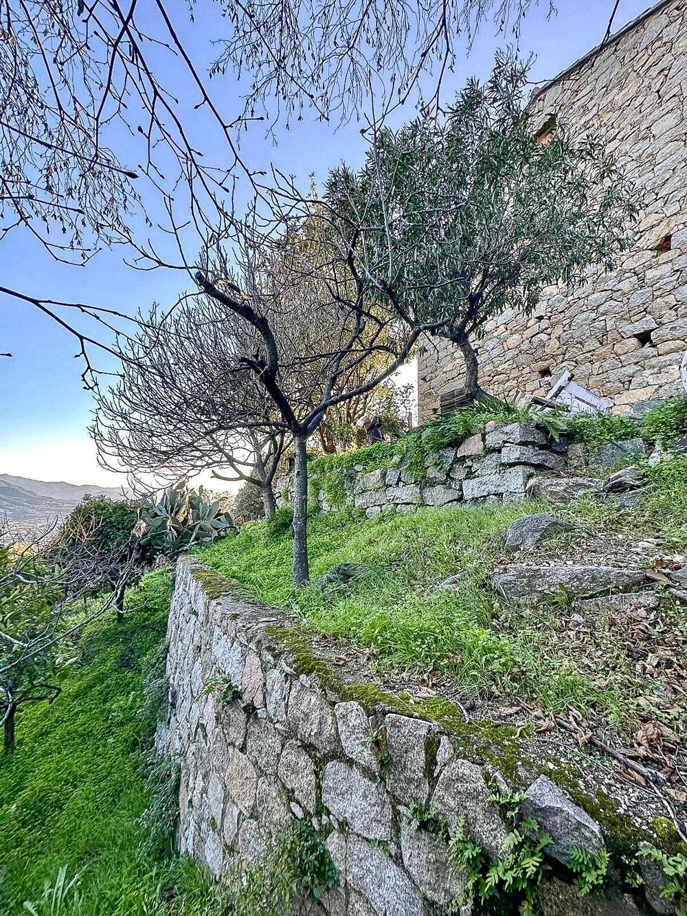 Vente Maison Maison en pierre à rénover - Terrain vue montagne - Sarrola Sarrola-carcopino