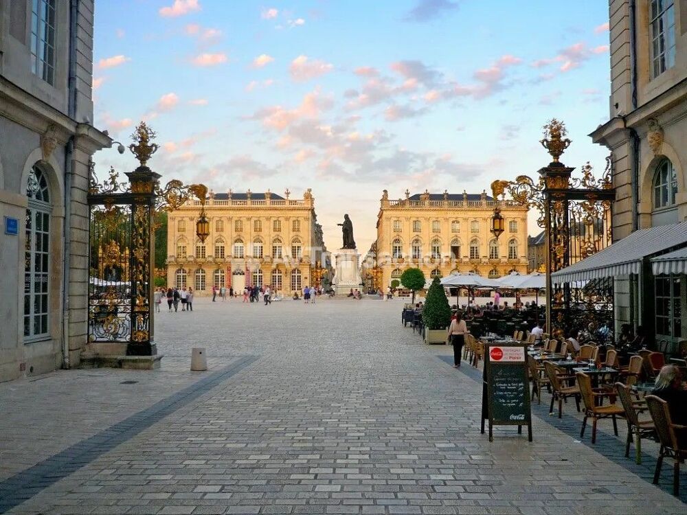 Vente Immeuble Bel immeuble de rapport  rue Stanislas NANCY Nancy