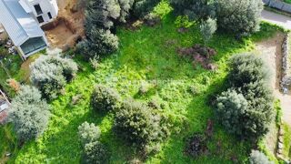  Terrain � vendre 1976 m�