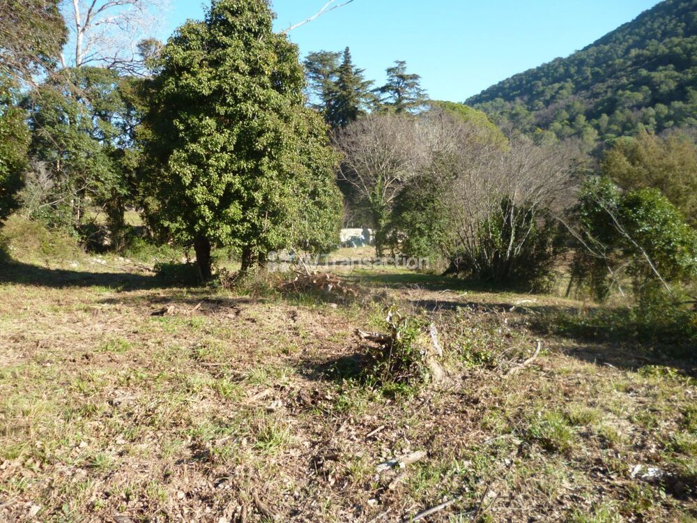 Vente Terrain BARGEMON : Magnifiques terrains à partir de 2000m2 Bargemon