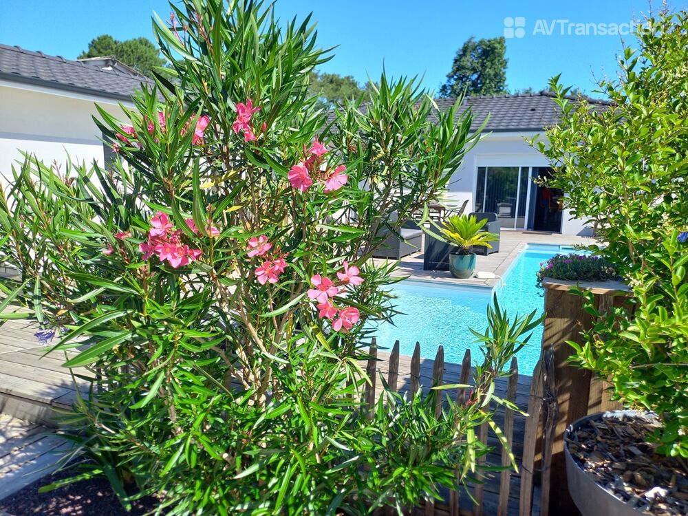 � vendre  Villa Lacanau (33680)