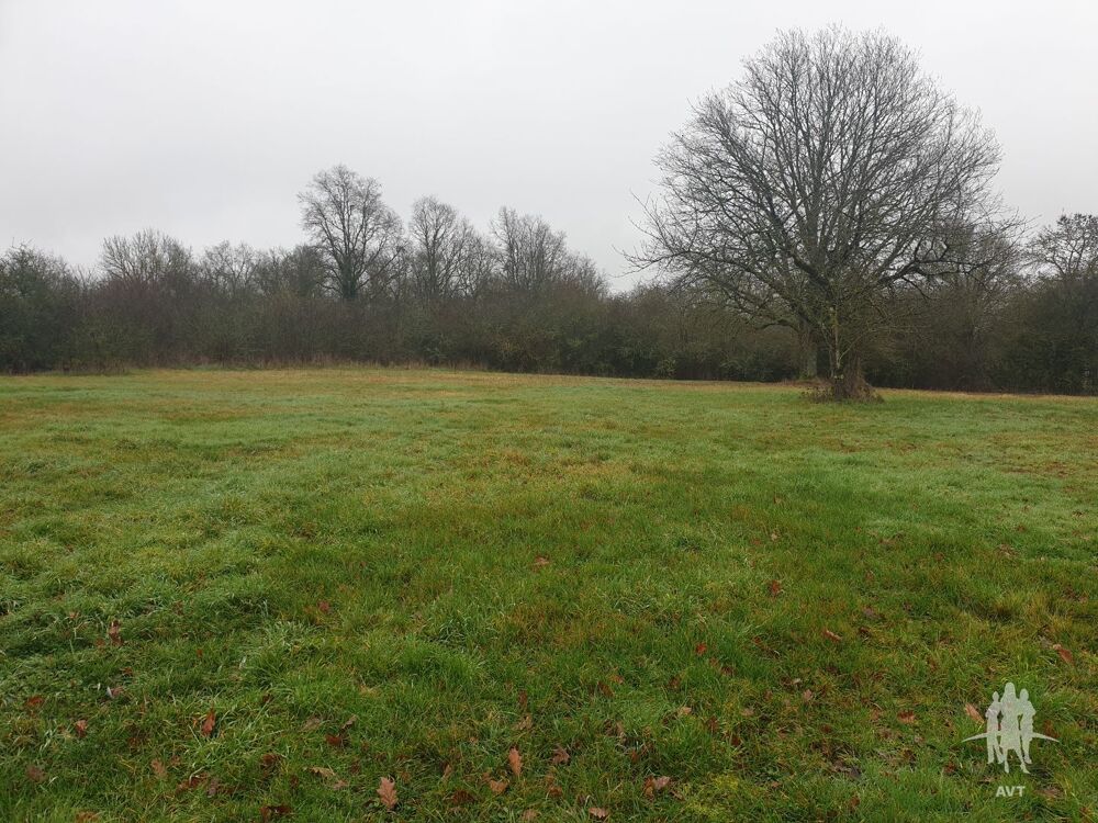 Vente Terrain Terrain constructible 2651 m² à Château-Renault Auzouer-en-touraine