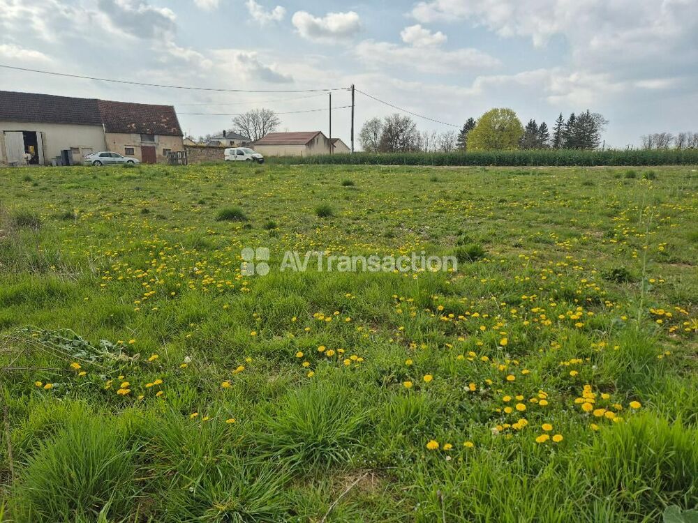 Vente Terrain 997 m² - Vue 4