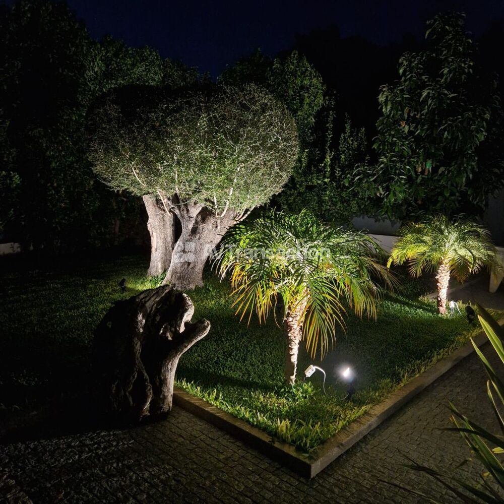 � vendre  Villa Afa (20167)