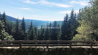  Villa à vendre 8 pièces 246 m²