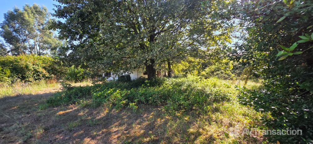 à vendre  Maison Tosse (40230)