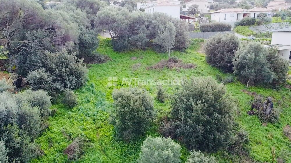Vente Terrain À vendre Terrain Bastelicaccia Constructible Bastelicaccia