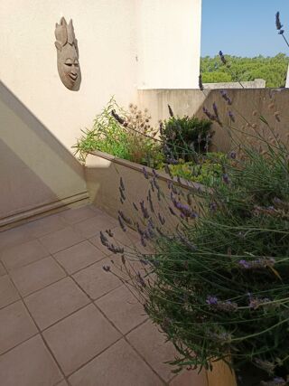  Appartement  vendre 3 pices 54 m