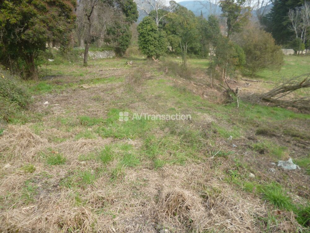 Vente Terrain BARGEMON : Magnifiques terrains à partir de 2000m2 Bargemon