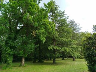  Propriété/château à vendre 15 + pièces 915 m²