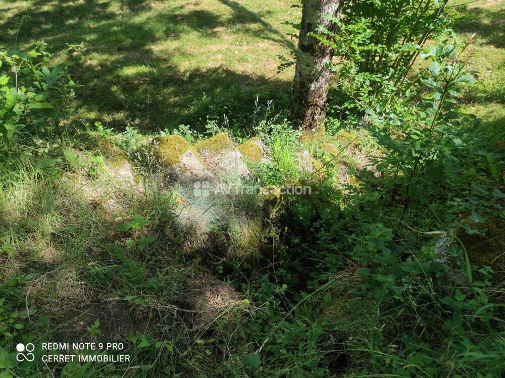 Vente Terrain Terrain non constructible 5257 m² Colognac