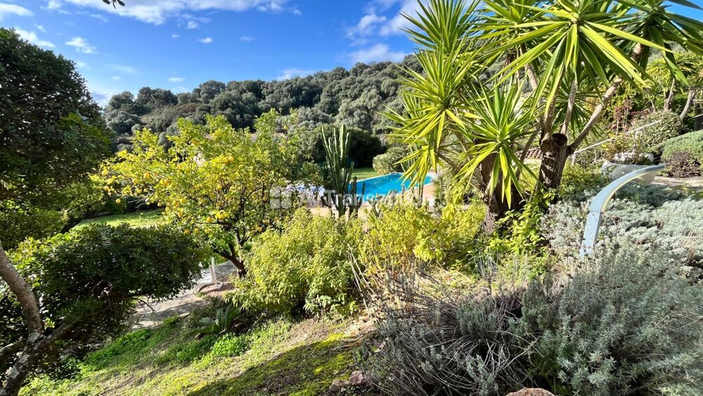 � vendre  Maison Bastelicaccia (20129)