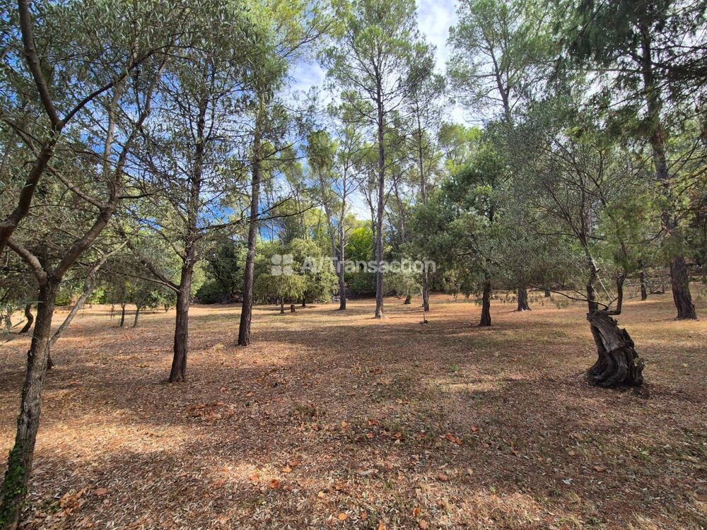 à vendre  Maison Draguignan (83300)