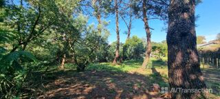  Terrain à vendre 985 m²