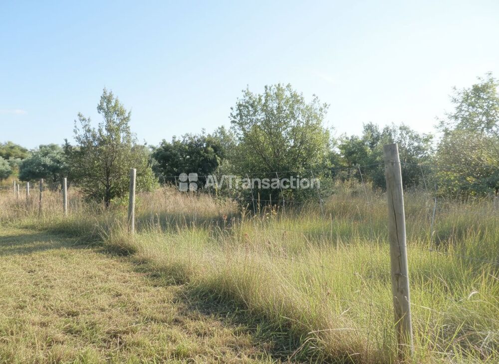 Vente Terrain AUPS : Magnifique terrain truffier de 4827m2 Aups