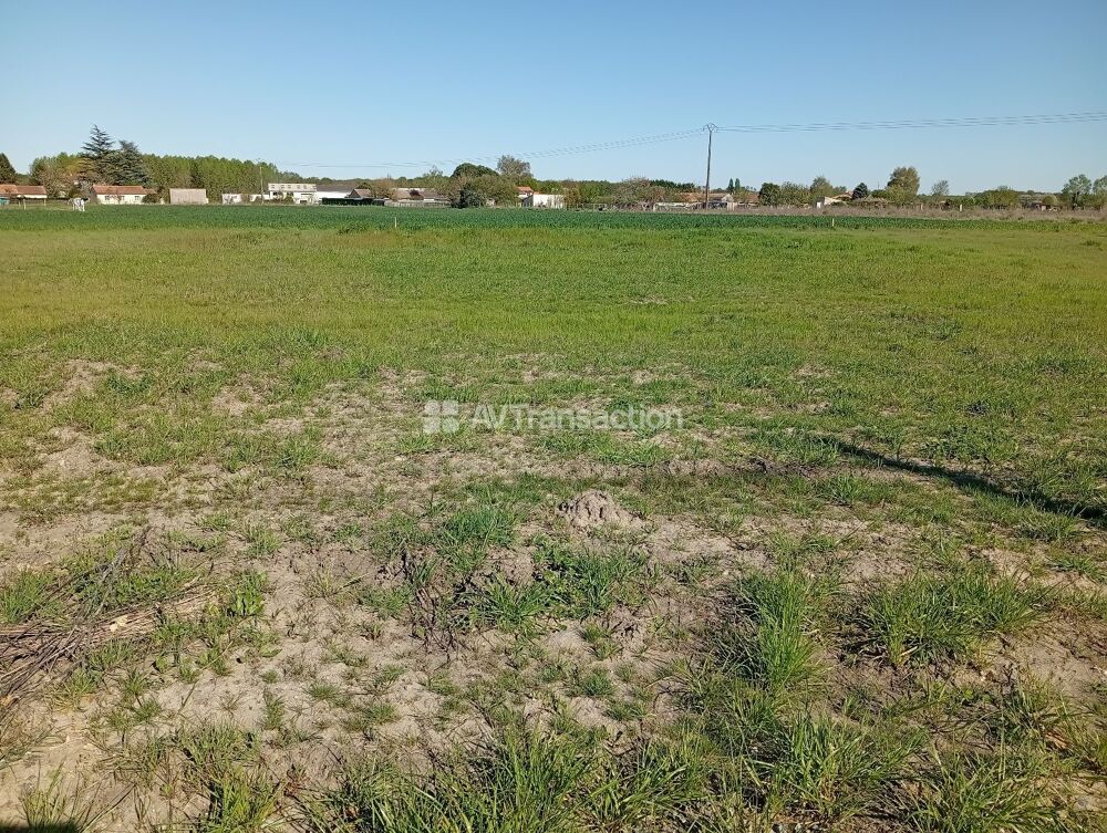 Vente Terrain A SAISIR, Terrain constructible viabilisé d'environ 827 m² Lencloitre