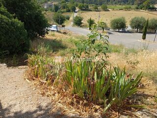  Appartement � louer 2 pi�ces 33 m�