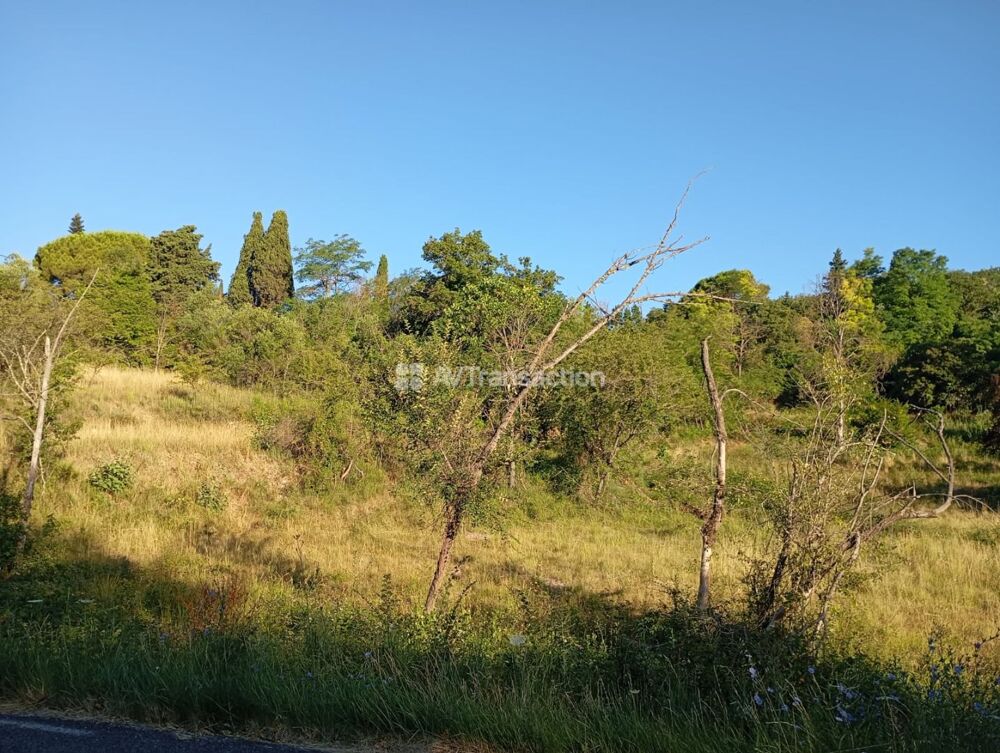Vente Terrain BARGEMON : Magnifiques terrains à partir de 2000m2 Bargemon