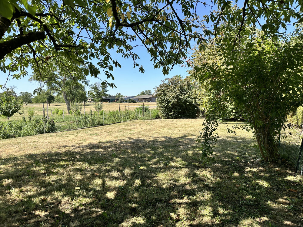 Vente Maison UNE EXCLUSIVITÉ DAGON IMMOBILIER ! Sausheim