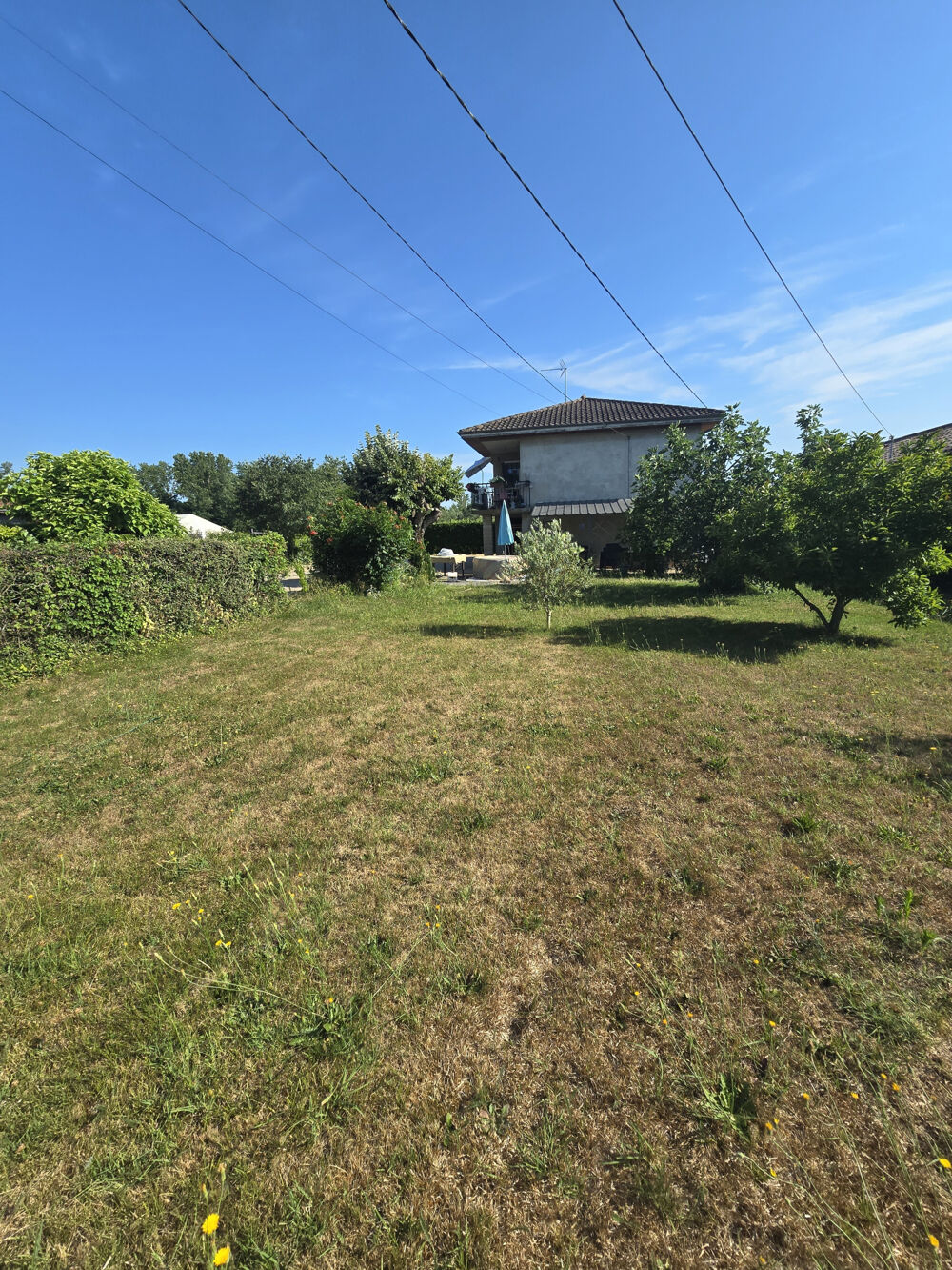 Vente Maison MAISON REPLONGES AU CALME 1700 M2 DE TERRAIN Replonges
