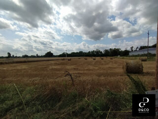  Terrain � vendre 5537 m�