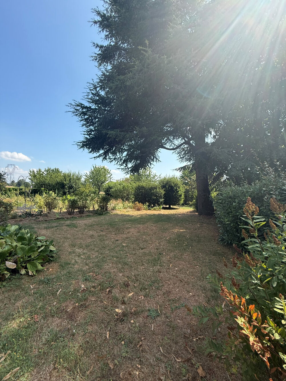 Maison de plain-pied avec 2 644 m2 de terrain st jean sur veyle