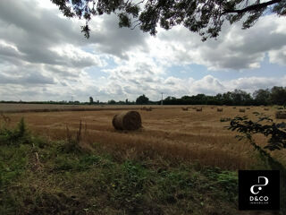  Terrain � vendre 5537 m�